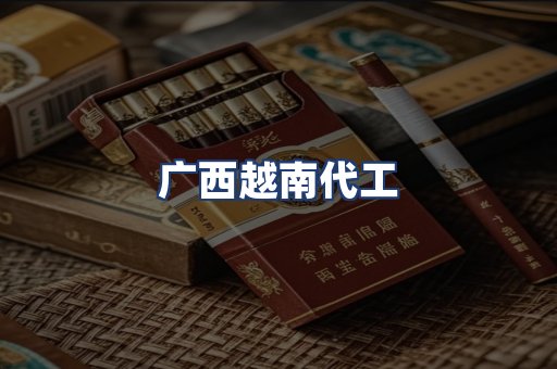 广西越南代工
